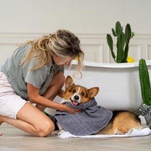 5 cuidados que debes tener con tu perro al bañarlo