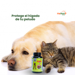 KEPAVIT MODULADOR FUNCIONAL HEPÁTICO PERROS Y GATOS_1