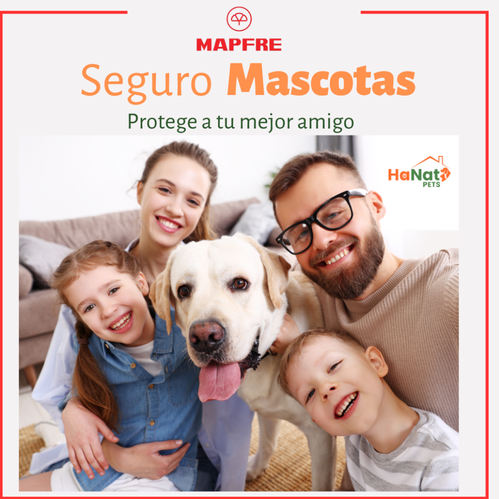 SEGURO PARA MASCOTAS _2