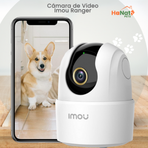 CÁMARA DE VIDEO IMOU  RANGER + MICRO SD 64 GB_2